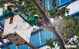 TP.HCM lại vào mùa ngập