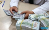 Giá USD hôm nay 24.9.2026: Đô la trong ngân hàng tăng