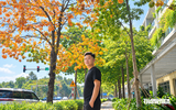 Thêm một 'con đường mùa thu' với hàng cây đổi màu gây thương nhớ ở TP.HCM