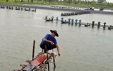 Kết hợp 4 vật nuôi trên 1 ha đất, thu lãi gần 400 triệu đồng/năm