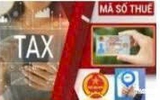 Cục Thuế nghiên cứu cơ chế tháo gỡ trường hợp mã số thuế 03, 06