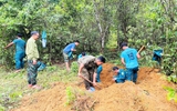 Phát hiện tăng, võng, cúc áo cùng 3 hài cốt liệt sĩ ở Quảng Ngãi