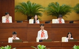 Tuyển đại biểu tự ứng cử Phiên họp giả định Quốc hội trẻ em