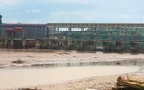 Thanh Hóa: Thủy điện Cẩm Thủy 1 gặp sự cố khiến 3,8 tấn cá chết
