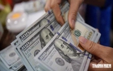 Giá USD hôm nay 7.9.2026: Đà giảm chưa dừng