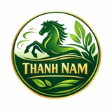 Thanh Nam