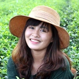 Nguyên Nguyễn