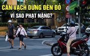 Lỡ dừng đèn đỏ cán vạch, tài xế vội lùi lại vì sợ bị phạt nặng như vượt đèn đỏ