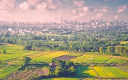 Ngắm tòa nhà cao nhất Việt Nam từ cánh đồng rau xanh mướt ở TP.HCM