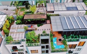 Chi tiền tỉ để trồng rau, nuôi cá trên sân thượng ở tầng 30