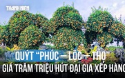 Ngắm bộ quýt 'Phúc – Lộc – Thọ' khổng lồ có giá hàng trăm triệu