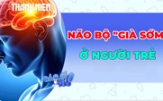 Vì sao não bộ người trẻ đang 'già' trước tuổi?
