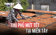 Giữ vị ngọt ngày xuân: Làng nghề mứt Vĩnh Long tất bật vào mùa tết