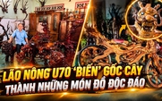 Độc lạ: Lão nông U70 ‘biến’ gốc cây thành những món đồ có một không hai