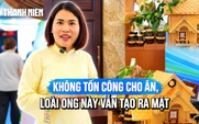 Không phải nông dân, người phụ nữ khởi nghiệp với đàn ong 'không cần cho ăn'