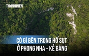 Kỳ bí hố sụt sâu 120 mét ở Phong Nha - Kẻ Bàng: Cả khu rừng nguyên sinh và hàng triệu vỏ sò