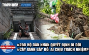 Toàn cảnh 17h: 250 hộ cư xá Thanh Đa nhận quyết định cưỡng chế | Cây đổ đè tài sản: Ai phải bồi thường?