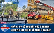 Toàn cảnh 17h: Lời kể lúc tháo chạy khi cây 20m đổ sập ở TP.HCM | Vì sao Đà Lạt mưa lớn ngập nhanh, rút nhanh?