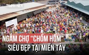 Ghé thăm chợ 'chồm hổm' siêu đẹp tại miền Tây
