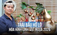 Nghệ nhân trẻ 'hô biến' trái bầu hồ lô mộc mạc thành linh vật ngựa độc đáo