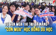 Cơn mưa học bổng tại Tư vấn mùa thi 2026: Mở rộng cánh cửa du học cho học sinh Đà Nẵng
