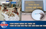 Toàn cảnh 17h: Kinh hoàng đường dây sản xuất thuốc giả | Đình chỉ giáo viên phạt học sinh bằng kim tiêm