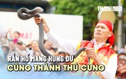 Múa rắn giữa sân đình, nghệ nhân 50 năm chưa từng bị cắn