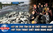 Toàn cảnh 17h: Điêu đứng 200 tấn cá chết ở hồ Trị An | Nhóm tìm vàng sống sót kỳ lạ sau 10 ngày