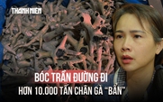 Bóc trần đường đi của hơn 10.000 tấn chân gà 'bẩn' từ kho lạnh ra thị trường