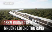 Choáng ngợp ảnh phối cảnh con đường trên cao xuyên rừng để nhường lối cho thú rừng
