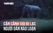 Đồng Nai: Voi rừng ‘đi lạc’ vào làng, người dân hoảng hốt