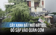 Khoảnh khắc cây xanh bật gốc đè sập quán cơm: Người đàn ông đi xe máy thoát nạn khó tin