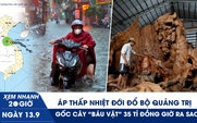 Xem nhanh 20h ngày 13.9: Áp thấp nhiệt đới đổ bộ Quảng Trị | Gốc cây ‘báu vật’ 35 tỉ đồng giờ ra sao?