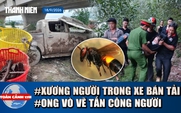 Toàn cảnh 17h: Phát hiện xương người trong xe bán tải dưới sông | Ong vò vẽ tấn công khi đi hái nấm