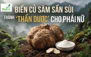 Cùng sống xanh 164: Biến sâm tố nữ thành chất giúp phụ nữ đẹp hơn