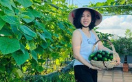 Gia đình doanh nhân 5 năm ăn rau sạch nhờ vườn trên sân thượng