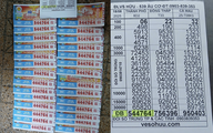 Người đàn ông TP.HCM trúng độc đắc 14 tờ, nhận 28 tỉ tại nhà 5 tầng