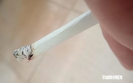 Thuốc lá dễ nghiện, khó cai hơn rượu và cần sa