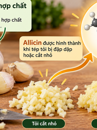Ăn tỏi mỗi ngày có giúp hạ huyết áp, giảm mỡ máu?