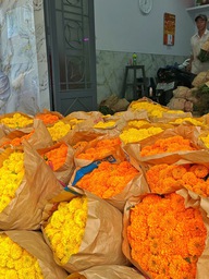 Chợ hoa lớn nhất TP.HCM chiều 23 tháng chạp: Cúc vạn thọ 'xả hàng' đại hạ giá