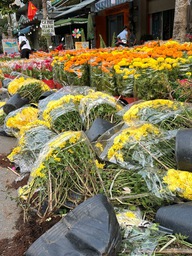 27 tết: Hoa cúc chất đống nằm la liệt ở TP.HCM, người bán nói câu nghẹn lòng