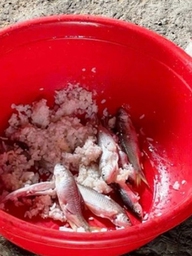 Bác sĩ 24/7: Botulinum thường xuất hiện trong những thực phẩm nào, cách phòng tránh ra sao?