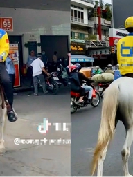 Sự thật clip xe ôm công nghệ cưỡi ngựa vào cây xăng ở TP.HCM gây sốt mạng