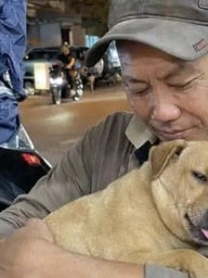 Tìm chó cưng tên Nọng suốt 1 tháng: Cộng đồng mạng dõi theo cái kết