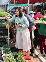 Tại nơi này có tặng cây giống miễn phí, ai cần cứ đến lấy