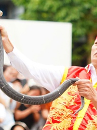 Người đàn ông 'múa rắn' giữa Hà Nội: 'Rắn hung dữ nhất gặp tôi cũng thành thú cưng’