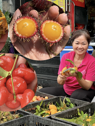 Trái gùi, mít nài, bứa đỏ... đổ bộ quán hủ tiếu ở TP.HCM, nhiều người lùng mua