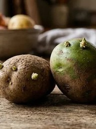 Cả nhà phải nhập viện sau khi ăn khoai tây mọc mầm, 1 người đã tử vong