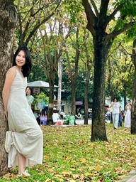 TP.HCM có một ‘con đường mùa thu’ đẹp như phim Hàn, giới trẻ mê mẩn