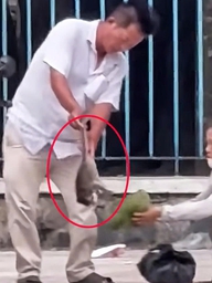 Hai người bắt khỉ con ở Tòa thánh Tây Ninh hóa ra thuộc đội bảo vệ khỉ